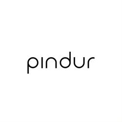 Pindur