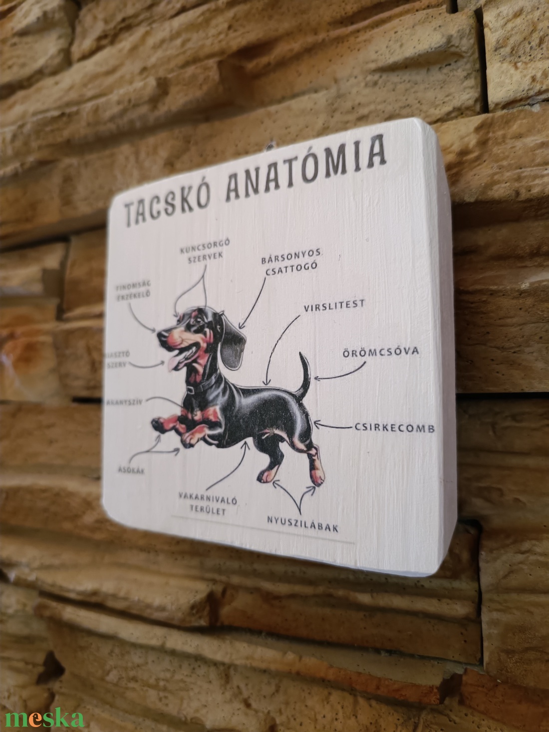 Tacskó anatómia vicces fatábla - otthon & életmód - dekoráció - fali és függő dekoráció - falra akasztható dekor - Meska.hu