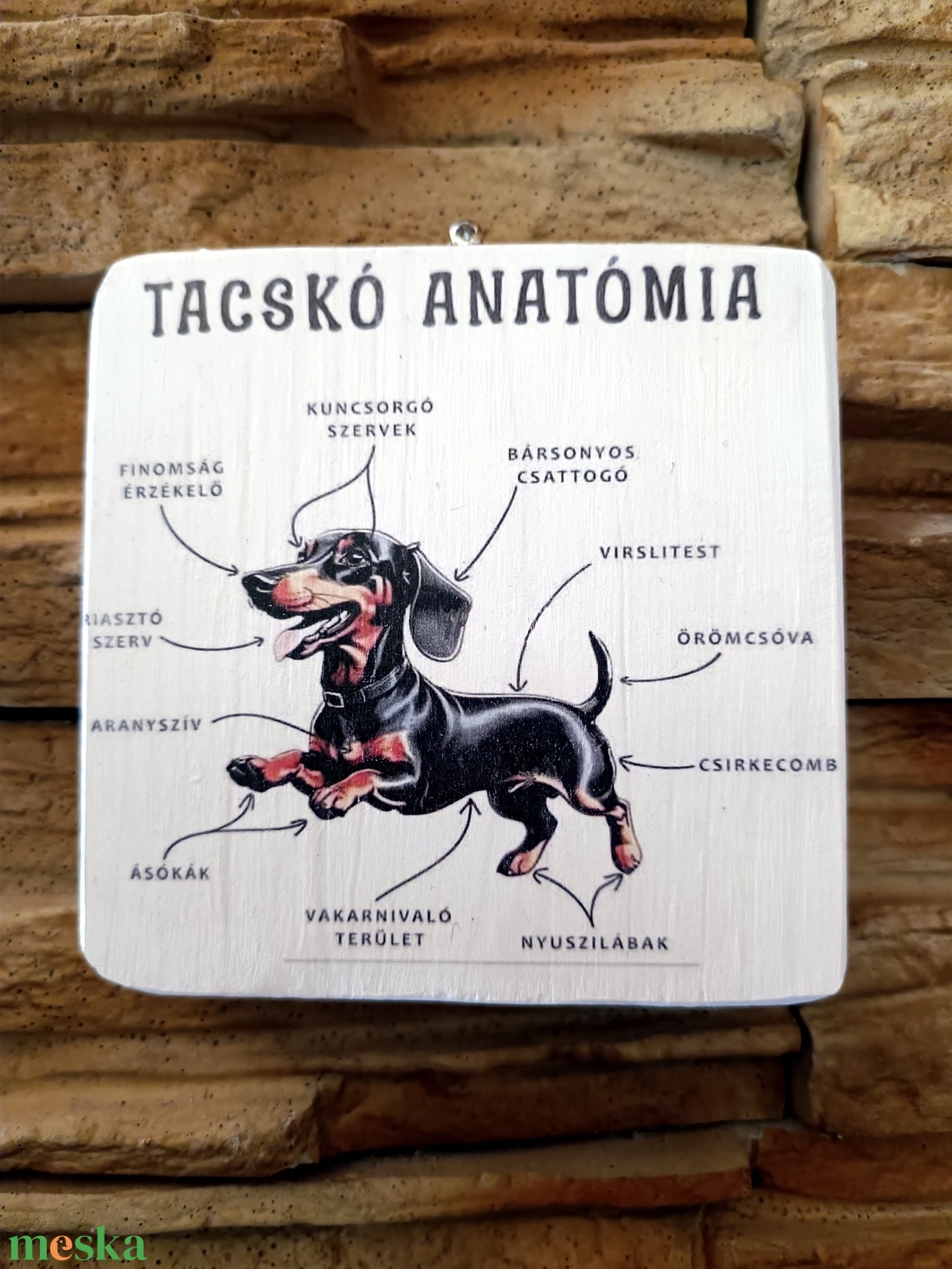 Tacskó anatómia vicces fatábla - otthon & életmód - dekoráció - fali és függő dekoráció - falra akasztható dekor - Meska.hu