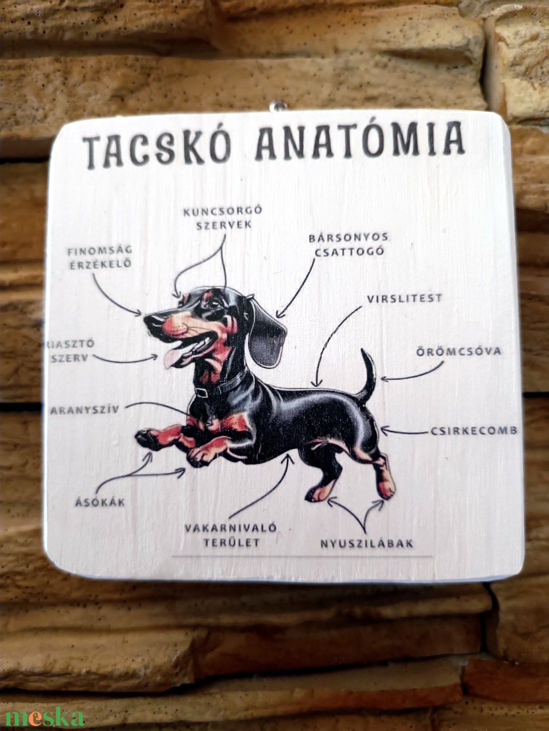 Tacskó anatómia vicces fatábla - otthon & életmód - dekoráció - fali és függő dekoráció - falra akasztható dekor - Meska.hu