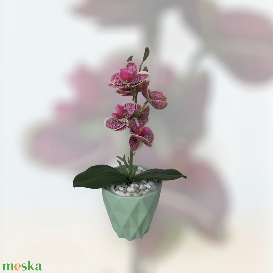 Orchidea kaspóban - otthon & lakás - dekoráció - virágdísz és tartó - csokor & virágdísz - Meska.hu