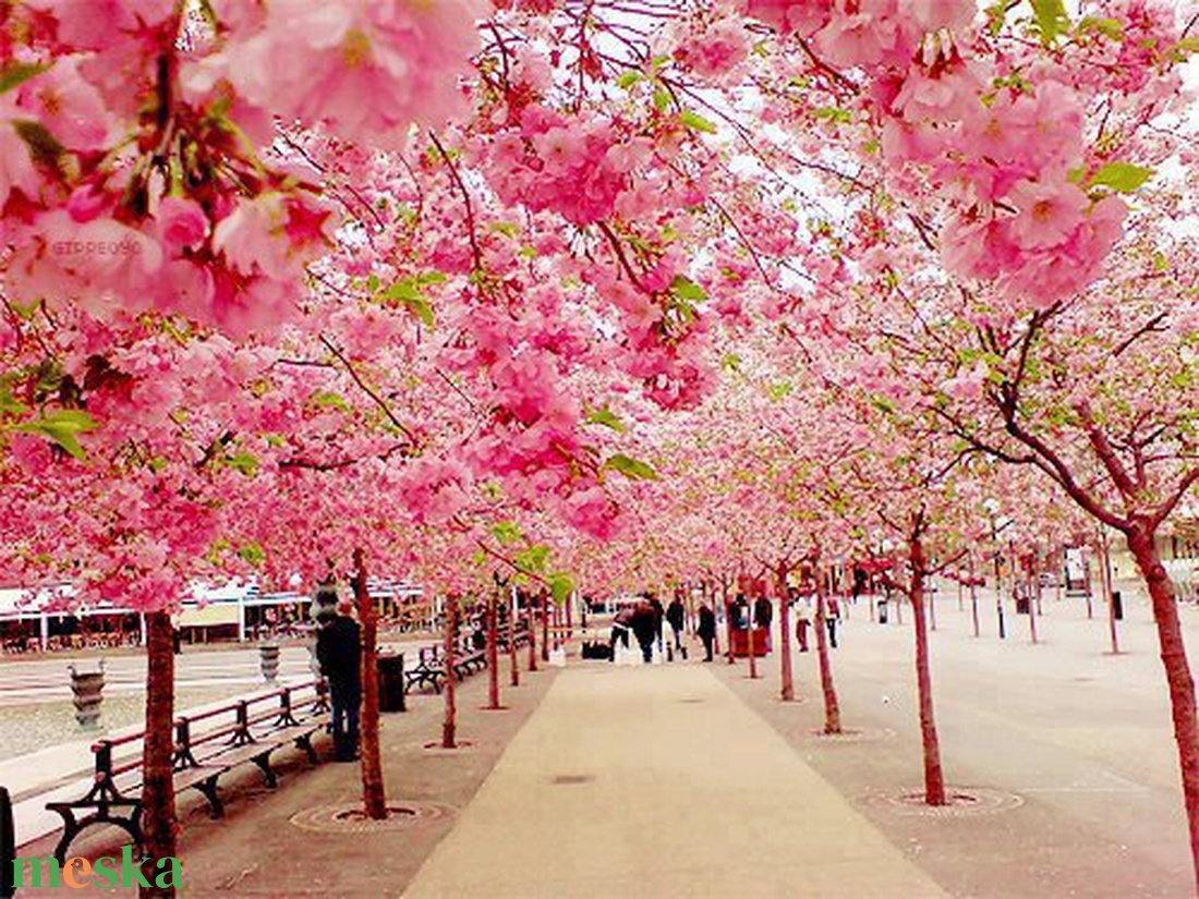 Sakura - rózsakvarc karkötő - ékszer - karkötő - bogyós karkötő - Meska.hu