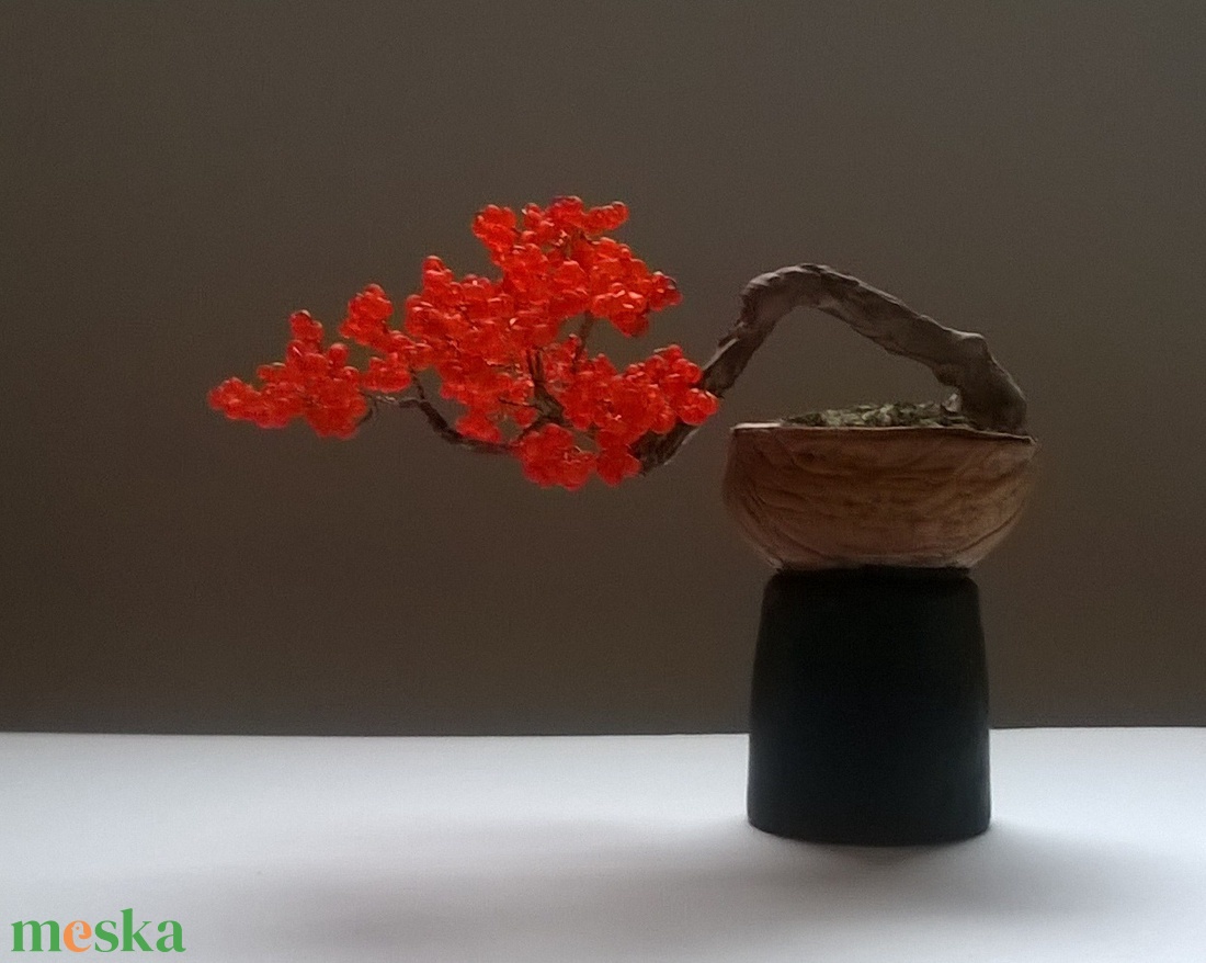 Dióhéjban 5 - otthon & életmód - dekoráció - asztal és polc dekoráció - bonsai - Meska.hu