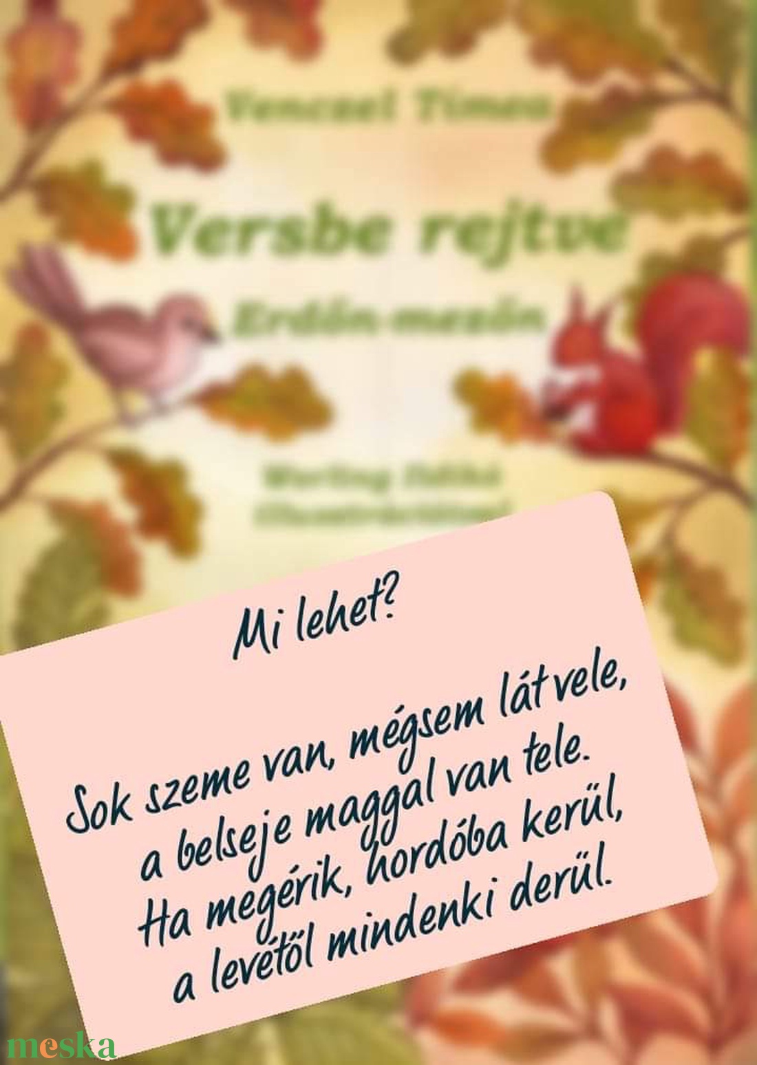 Versbe rejtve - verses állatportrék színezővel - könyv & zene - könyv - Meska.hu