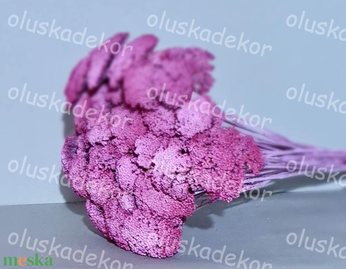 Achillea, Cickafark, natúr és színes, száraz dekor növény, 60 - 70cm - kellékek & szerszámok - dekorációs kellékek - egyéb kellékek - Meska.hu