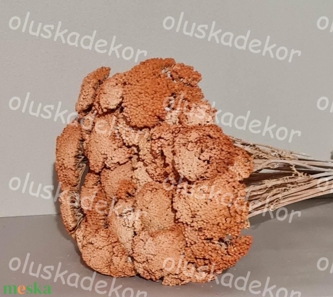 Achillea, Cickafark, natúr és színes, száraz dekor növény, 60 - 70cm - kellékek & szerszámok - dekorációs kellékek - egyéb kellékek - Meska.hu