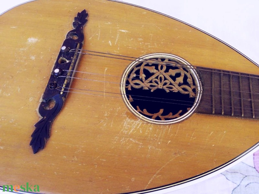 Antik Mandriola vagy Tricordia, 12 húros mandolin. Meinel - Herold 1910-1920 évek - könyv & zene - hangszer & hangszertok - Meska.hu