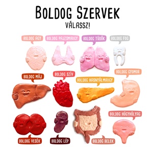 BOLDOG SZERVEK >> szív belek vesék húgyhólyag fog pajzsmirigy agy tüdők lép hasnyálmirigy máj hűtőmágnes, kabala - Meska.hu