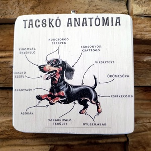 Tacskó anatómia vicces fatábla, Otthon & Életmód, Dekoráció, Fali és függő dekoráció, Falra akasztható dekor, Famegmunkálás, MESKA