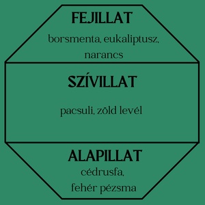 Borsmenta és eukaliptusz autóillatosító (citrusos) - otthon & életmód - gyertya, illat, aroma - párologtató - Meska.hu