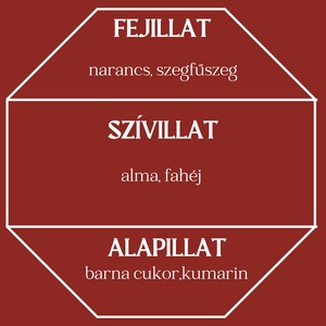 Forralt bor lakás illatosító/diffúzor (karácsonyi,édes,fűszeres)  - otthon & életmód - gyertya, illat, aroma - párologtató - Meska.hu