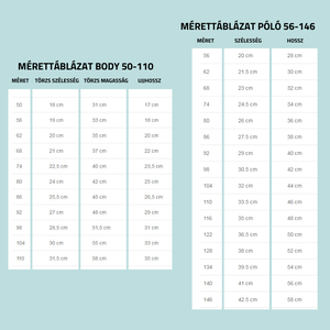 EGY ÉVES LETTEM - UNIKORNIS - EGYEDI FELIRATOS gyermek póló vagy kombidressz (body) aranyos  grafikával - ruha & divat - babaruha & gyerekruha - body - Meska.hu