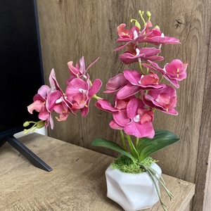 Orchidea 35 cm, Otthon & Életmód, Dekoráció, Asztal és polc dekoráció, Asztaldísz, Virágkötés, MESKA