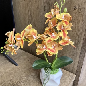 Orchidea 35 cm, Otthon & Életmód, Dekoráció, Asztal és polc dekoráció, Asztaldísz, Virágkötés, MESKA