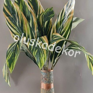 ASPIDISTRA - bokros, 12 leveles 62cm, Kellékek & szerszámok, Dekorációs kellékek, Egyéb kellékek, Virágkötés, Mindenmás, MESKA