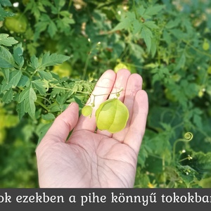 Esküvői köszönőajándék (szívmag csomag) - esküvő - emlék & ajándék - köszönőajándék - Meska.hu