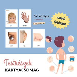 Testrészek kártyacsomag (nyomtatható PDF), Játék & Sport, Készségfejlesztő és Logikai játék, Oktató játékok, Fotó, grafika, rajz, illusztráció, MESKA