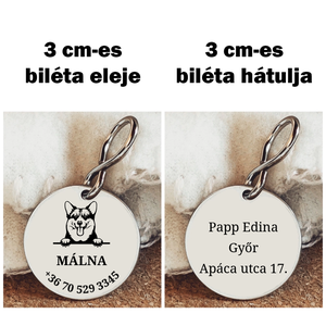 Egyedi biléta Corgi kutyának - otthon & életmód - kisállatoknak - kutyáknak - kutya biléta - Meska.hu