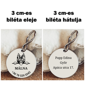 Amstaff biléta - otthon & életmód - kisállatoknak - kutyáknak - kutya biléta - Meska.hu