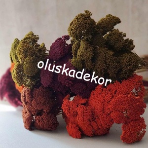 Achillea, Cickafark 60 - 70cm - kellékek & szerszámok - dekorációs kellékek - egyéb kellékek - Meska.hu