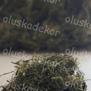 Kócos moha, esküvő, húsvéti dekor, gyökér, natúr, zöld, 50gr./cs., Kellékek & szerszámok, Dekorációs kellékek, Egyéb kellékek, Virágkötés, MESKA