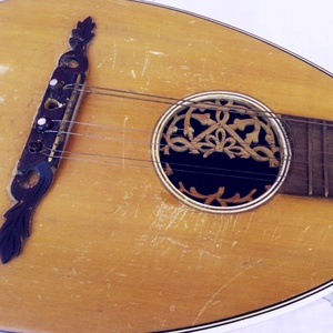 Antik Mandriola vagy Tricordia, 12 húros mandolin. Meinel - Herold 1910-1920 évek - könyv & zene - hangszer & hangszertok - Meska.hu