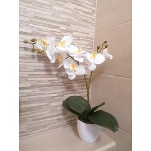 Orchidea Művirág 1 szálas kaspóban #fehér - Meska.hu