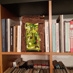 Könyvkuckó, Book Noot, Diorama, Varázserdő - művészet - makett, modell - Meska.hu