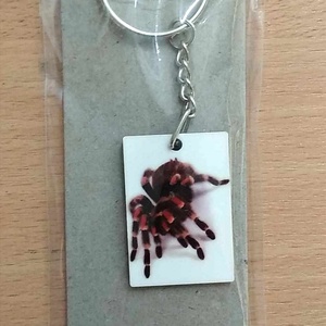 Tarantula pók kulcstartó , Táska & Tok, Kulcstartó & Táskadísz, Kulcstartó, Mindenmás, MESKA