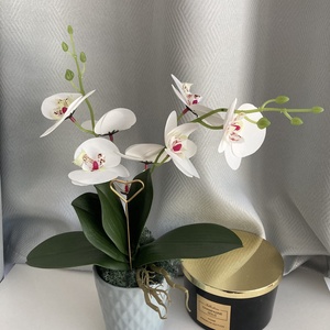 Gondozásmentes orchidea kerámia kaspóban - esküvő - emlék & ajándék - szülőköszöntő ajándék - Meska.hu