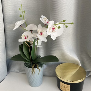 Gondozásmentes orchidea kerámia kaspóban - esküvő - emlék & ajándék - szülőköszöntő ajándék - Meska.hu