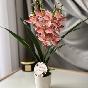 Cymbidium - csónak orchidea / Örök orchidea kerámia kaspóban, Otthon & Életmód, Dekoráció, Virágdísz és tartó, Csokor & Virágdísz, Virágkötés, MESKA