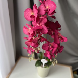 Selyemvirág orchidea / Örök orchidea kerámia kaspóban, felirattal anyák napjára - otthon & életmód - dekoráció - virágdísz és tartó - csokor & virágdísz - Meska.hu