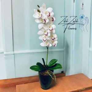 Tiszta Fehér Orchidea - Kifinomult Elegancia, Otthon & Életmód, Dekoráció, Virágdísz és tartó, Csokor & Virágdísz, , MESKA