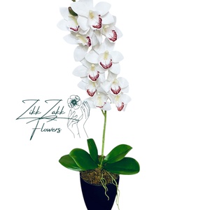 Tiszta Fehér Orchidea - Kifinomult Elegancia - otthon & életmód - dekoráció - virágdísz és tartó - csokor & virágdísz - Meska.hu