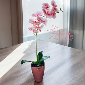 Rózsaszín Orchidea Kompozíció - Meska.hu